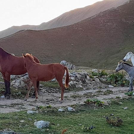 Hotel Ushba Hill Mestia Kültér fotó