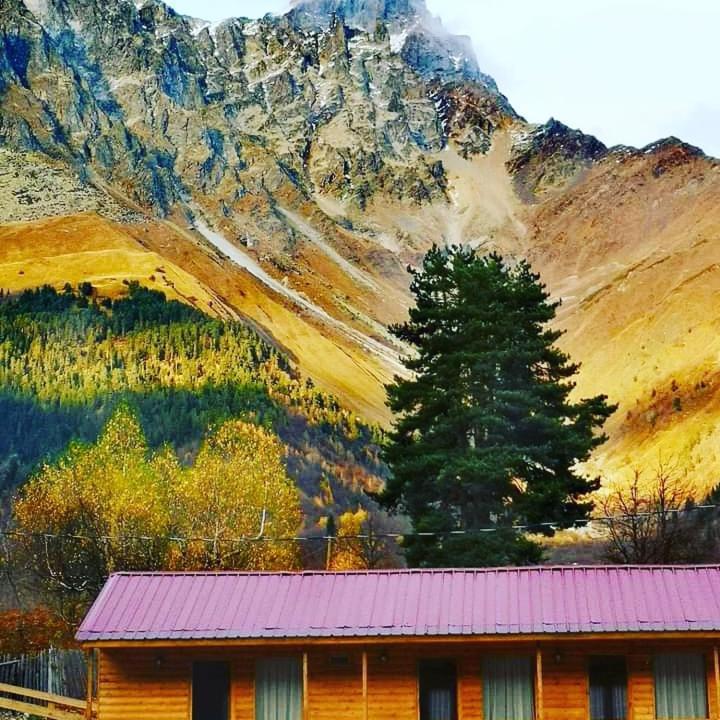Hotel Ushba Hill Mestia Kültér fotó