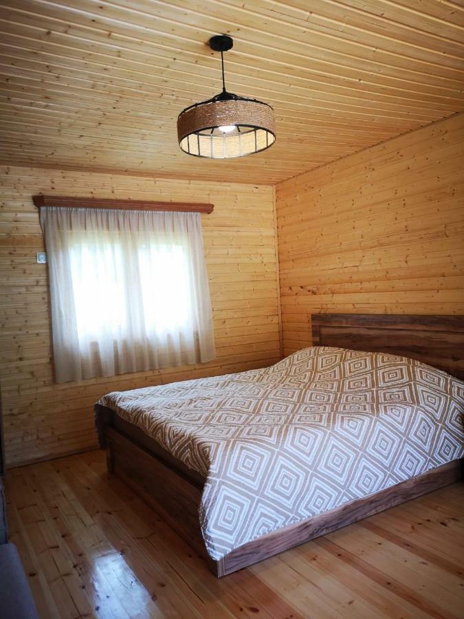 Hotel Ushba Hill Mestia Kültér fotó