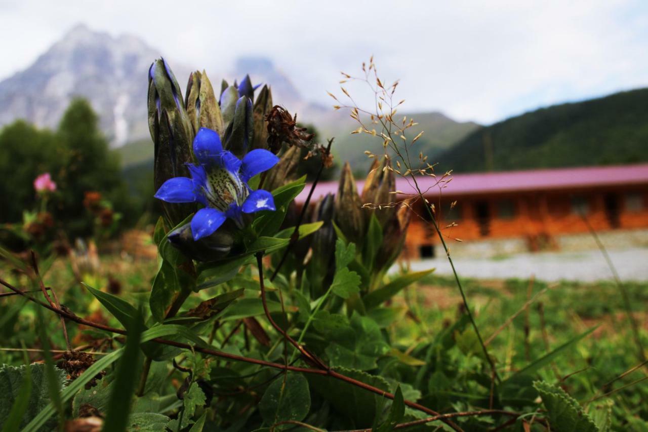 Hotel Ushba Hill Mestia Kültér fotó