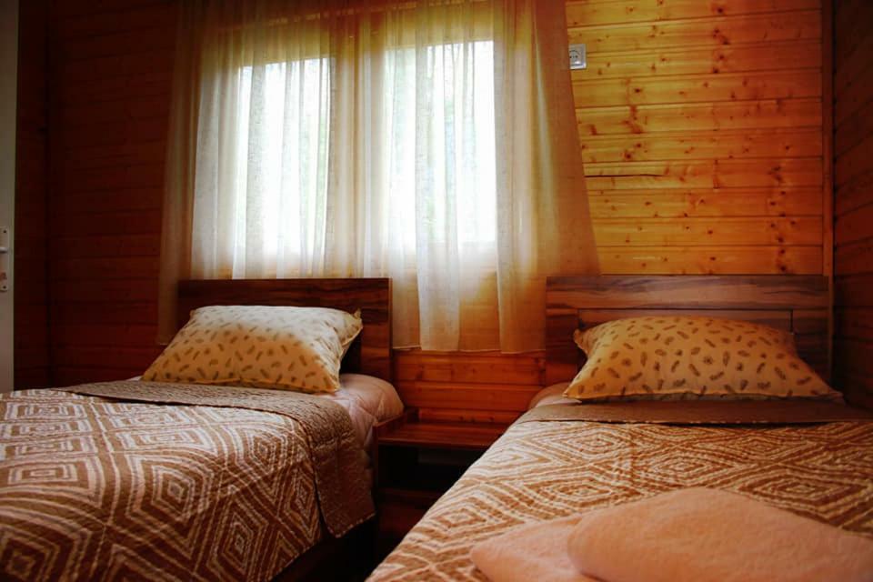 Hotel Ushba Hill Mestia Kültér fotó